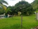 FINCA DE RECREO EN SAN JERONIMO ANTIOQUIA (San Jerónimo, Antioquia)